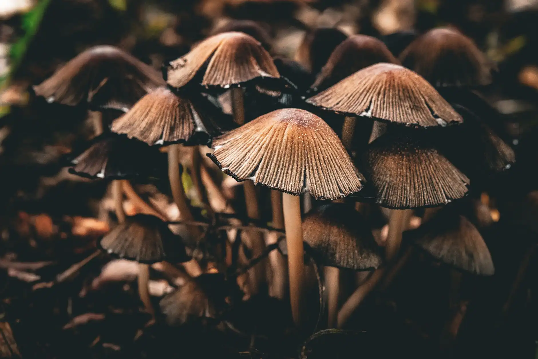 中山及珠三角家庭净水器选型指南：超滤与RO反渗透技术对比分析